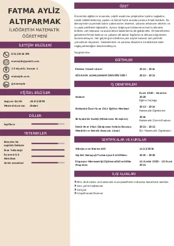 Matematik Öğretmeni Cv Örnekleri cv indir
